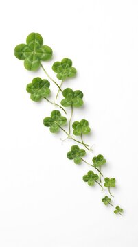 Green four leaf clovers arranged in diagonal wavy pattern isolated on clean white background for luck concept