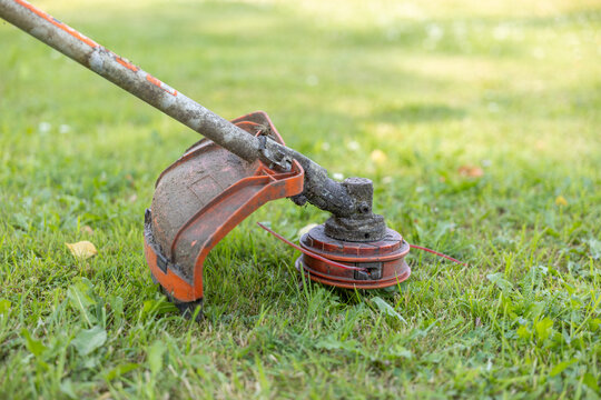 Close up of orange string trimmer cutting head on green lawn in daylight