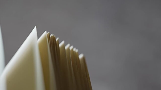 Flipping through a book's pages in slow motion, a concept for learning, study, and research
