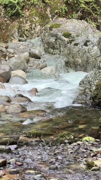 Rushing mountain stream flowing over smooth boulders and rocks at Lynn Canyon in Vancouver, with white water rapids and mossy stones in a natural creek.