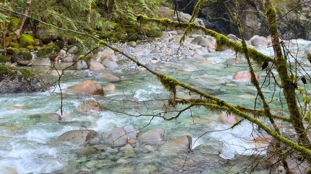 Turquoise mountain river rushing over rocks with a moss-covered fallen log at Lynn Canyon in Vancouver, surrounded by lush green rainforest and boulders.