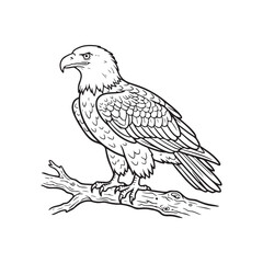 Fototapeta premium Majestic Eagle Perched on a Branch, Detailed Wildlife Line Art Illustration