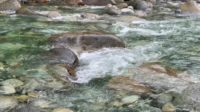 White water rushing around a large boulder in an emerald mountain river at Lynn Canyon in Vancouver, showing turbulent current and foam over granite rocks.