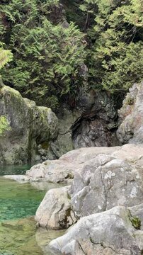 Clear emerald green pool of water surrounded by granite boulders and pine forest at Lynn Canyon in Vancouver, showing a tranquil natural swimming hole.