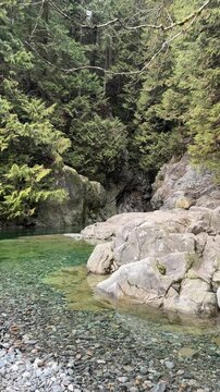 Clear emerald green pool of water surrounded by granite boulders and pine forest at Lynn Canyon in Vancouver, showing a tranquil natural swimming hole.