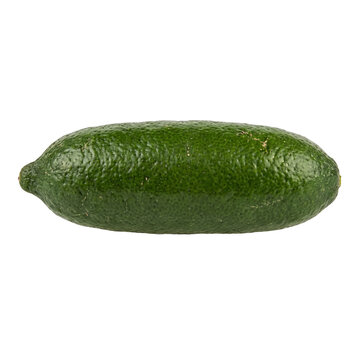 Green avocado fruit oblong shape textured skin organic raw vegetable studio shot on transparent background