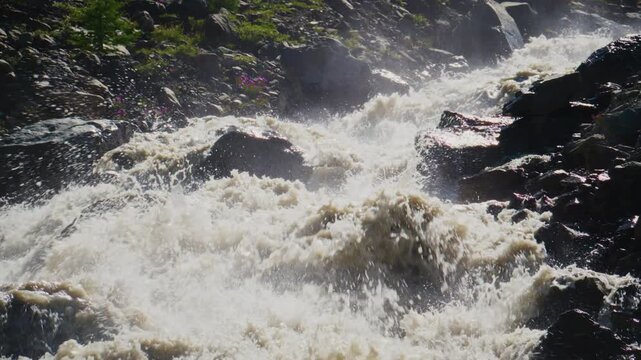 Powerful river rushes over dark rocks. Water crashes, splashing mist into air. Sunlight reflects off turbulent surface. Scene captures wild, untamed nature energy. Ideal for adventure, outdoor