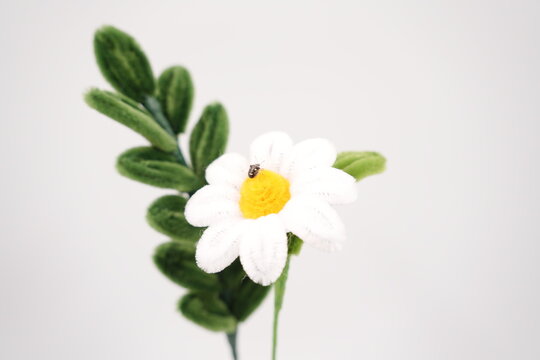 Stink bug on Artificial Flowers isolated. Known as two spot sesame bug, Eysarcoris guttiger (Pentatomidae), shield bug.Selective focus. White background.
