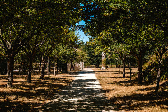 All&eacute;e dans un parc