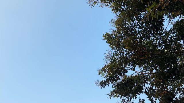 Blue Sky with Soft Clouds and Minimalist Nature Background