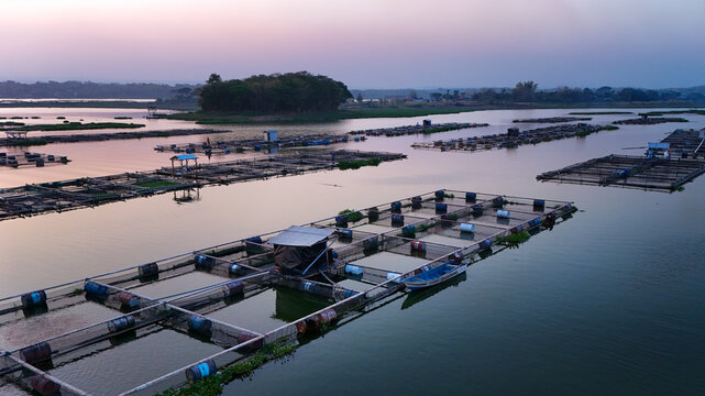 Aerial view of Cengklik Reservoir featuring numerous floating fish farm cages and a small wooden boat on the calm water during a serene sunset in Ngemplak, Central Java, Indonesia.
