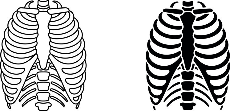 Human Rib Cage Skeleton Vector Illustration in Line Art and Black Silhouette Style