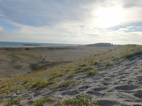 Sunlit dunes and coastal plants overlooking the sea in Hamamatsu Japan