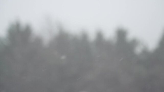 A blurred forest horizon and falling snow create a minimal seasonal background without distracting detail. The open frame suits advertising, presentations, web banners and calm winter graphics.
