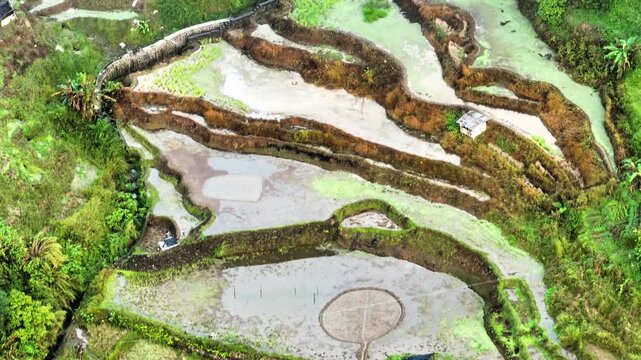Aerial shot of the amazing terraced rice paddies in the mountains near Banaue Philippines.