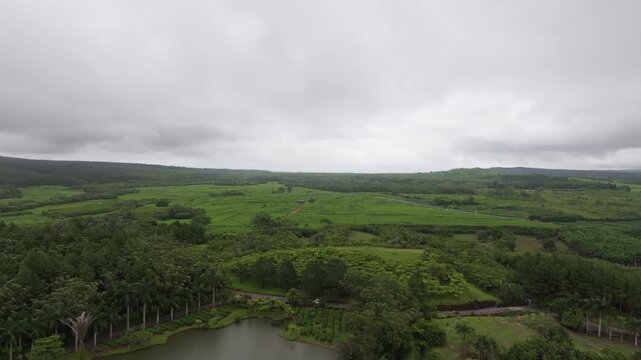 Aerial view of lush tea plantations surrounding a calm lake under a cloudy sky in the countryside of Bois Cheri, Savanne District, Mauritius.