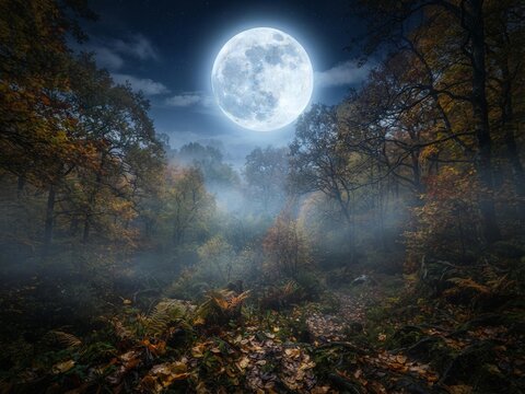 Dramatic October night landscape, enormous glowing full moon above a quiet autumn forest