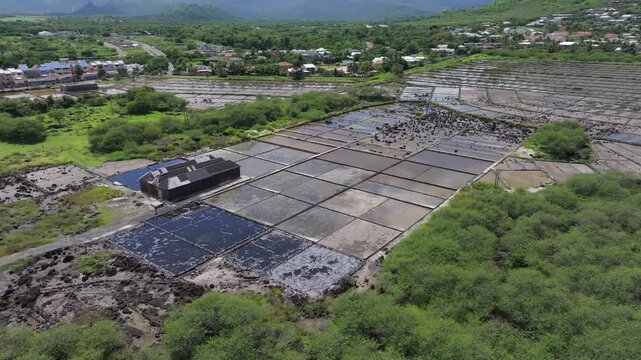 Aerial view of Salines de Yemen-Tamarin salt pans surrounded by lush green vegetation and trees in Tamarin, Riviere Noire District, Mauritius.