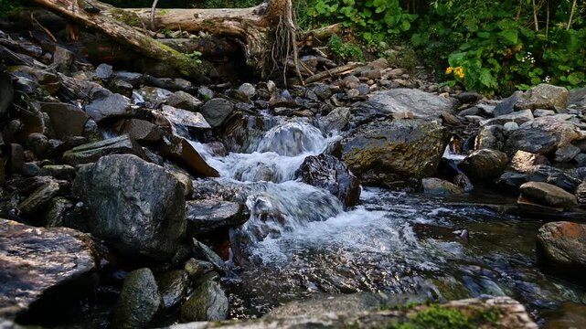 Water flowing over rocks in mountain stream