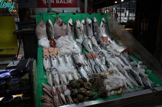 Fish Monger Display