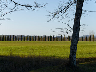 Obraz premium Beautiful view of the countryside around Siena in Tuscany