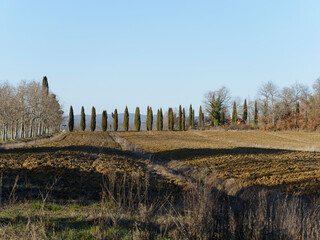 Obraz premium Beautiful view of the countryside around Siena in Tuscany