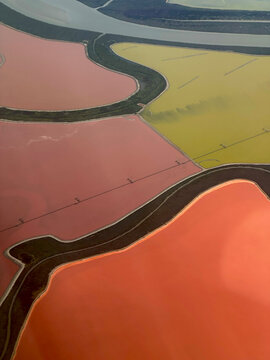 Aerial view of adjoining salt ponds in shades of salmon pink, coral orange, and olive yellow. Curving dark levees with pale edges separate the ponds. San Francisco Bay Area, California, USA.