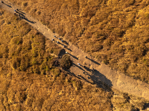 Aerial view of hikers walking along a dirt trail on the grassy slopes of Gunung Sumbing Wonosobo with long shadows cast by golden hour light in Kecamatan Kalikajar, Jawa Tengah, Indonesia.