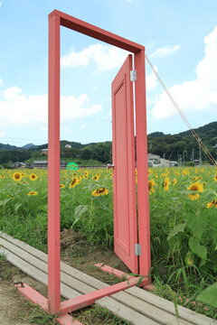 ここにも何処でもドア！