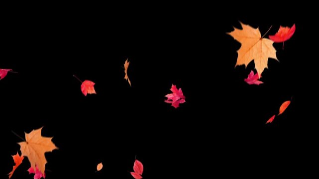 A warm autumn fall transition featuring golden foliage, soft sunlight, and beautiful seasonal colors.