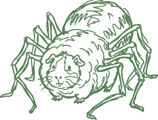Fototapeta premium Guinea pig spider hybrid in green hand drawn line art