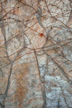 Autumn vine decorates a weathered stone wall