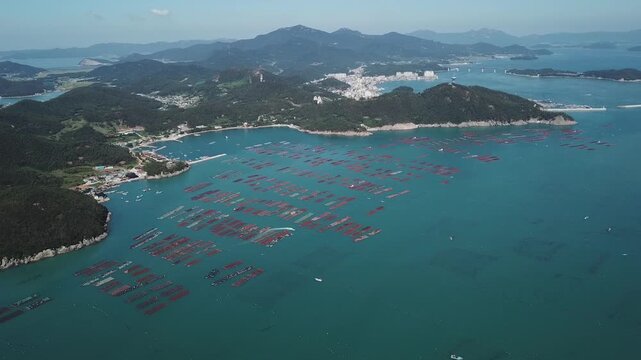 Abalone Abalone Farm Fresh Abalone Seafood Raw Abalone Shellfish Korea 전복 전복양식장 활전복 수산물 참전복 해산물 패류 식재료 한국
