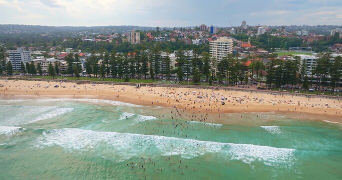 Aerial view of Manly Beach with people swimming in the turquoise ocean, sunbathers on the sand, and pine trees bordering the urban coastal landscape in Sydney, New South Wales, Australia.
