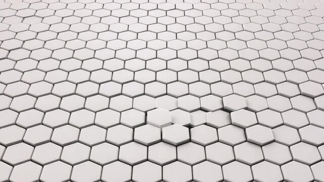 White 3D hexagonal tiles rise in a gentle wave across a clean seamless geometric background.