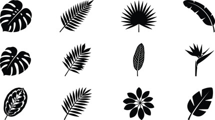 Fototapeta premium Tropical Leaf Silhouette Collection with Monstera, Palm, Fern, Banana, Philodendron and Decorative Botanical Foliage for Nature Designs