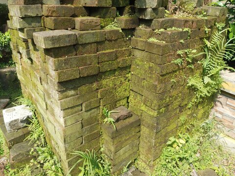 Stack of old weathered red bricks overgrown with green moss and small fern plants in a damp area.