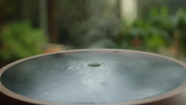 Close-up of a wood grain aroma diffuser releasing gentle mist near a window. Ultrasonic humidifier creating relaxing atmosphere with visible vapor in a cozy indoor space.