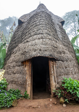 Traditional Dorze house of wood and bamboo, Chencha, Ethiopia