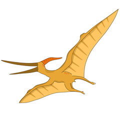 vector illustration of pterosaurus dinosaur © Siratus