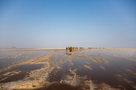 Salt flat texture in the Danakil depression, Dallol, Ethiopia