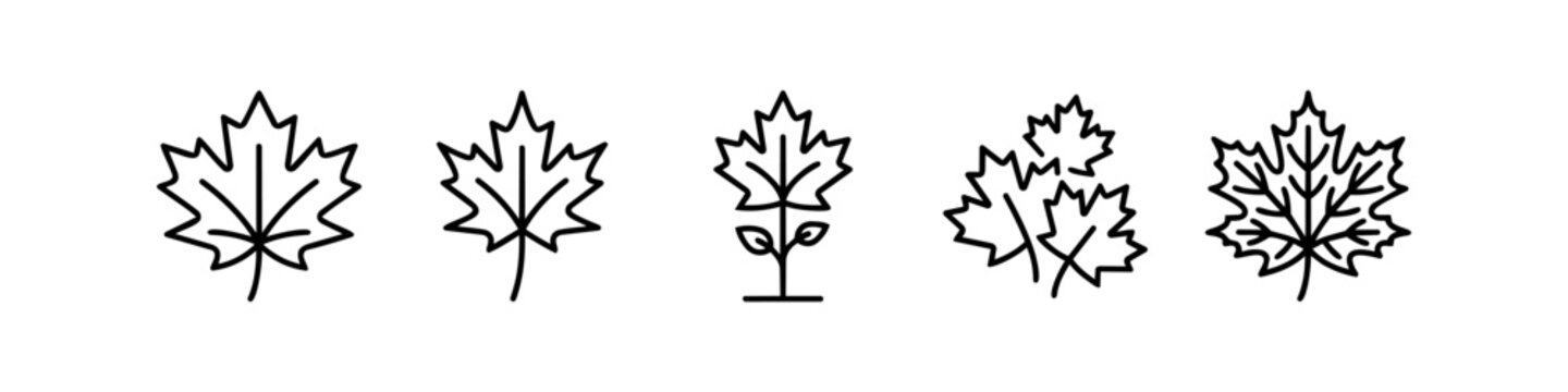 Set of maple leaf outline icons. Minimalist black line vector symbols of autumn leaves, Canadian foliage, plant sprout, and nature isolated on a white background.