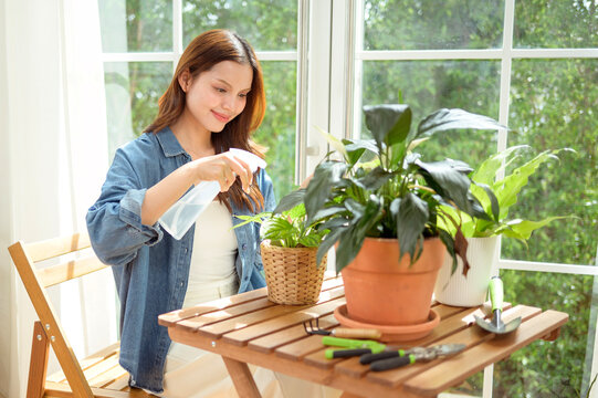 Young Asian woman caring for indoor houseplants by watering potted plants in a bright modern home
