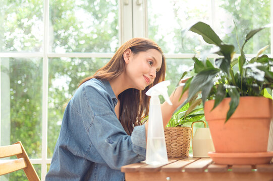 Young Asian woman caring for indoor houseplants by watering potted plants in a bright modern home