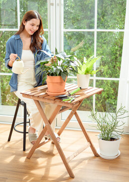 Young Asian woman caring for indoor houseplants by watering potted plants in a bright modern home