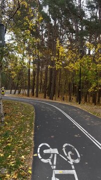 A tranquil road intersection in a forest, featuring trees and a clear sky, captured at eye level. The scene showcases a calm and serene nature setting with concrete and grass materials, acc.