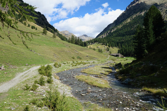 Torrent et vallon de Vallanta. Monte Viso - Tour du Viso - Castello - Italie  