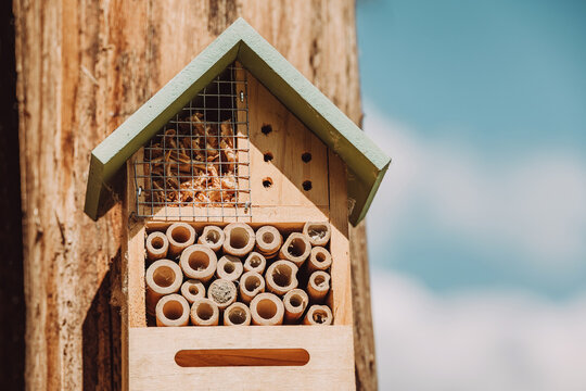 Wooden insect hotel offering shelter and nesting sites, promoting biodiversity and ecological balance in a garden