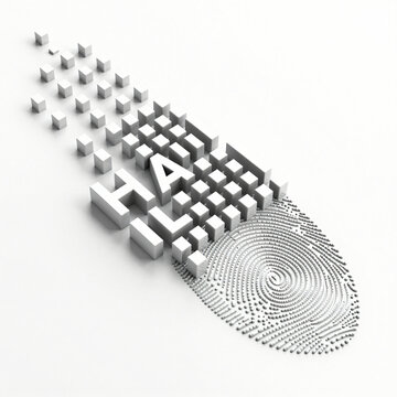 Biometric data hashing and abstract digital security concept