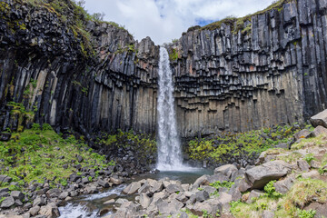 Svartifoss waterfall plunges into a rocky pool beneath dark basalt columns in Skaftafell, Iceland. Green moss and scattered boulders frame the stream in this close summer view. © Artem